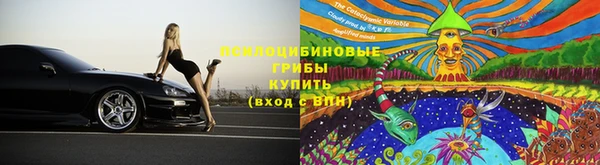 ПСИЛОЦИБИНОВЫЕ ГРИБЫ Лагань