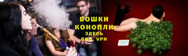 сатива Ладушкин