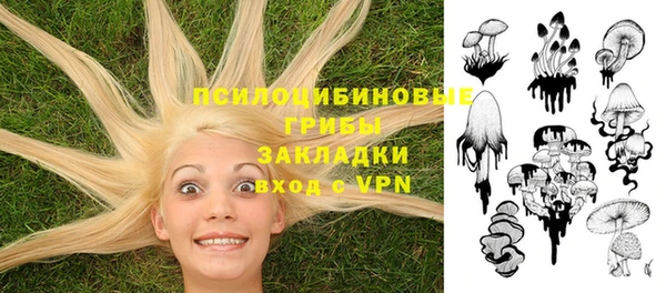 гидропоника Осташков