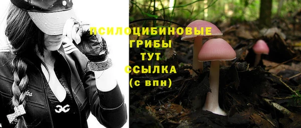 гидропоника Осташков