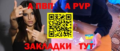 индика Кингисепп