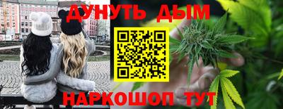 индика Кингисепп