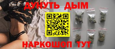 индика Кингисепп