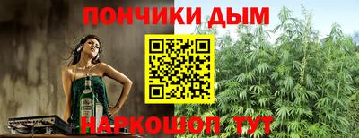 индика Кингисепп
