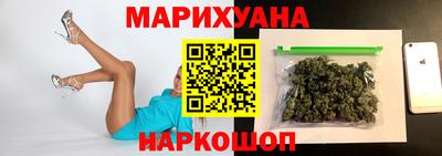 индика Кингисепп