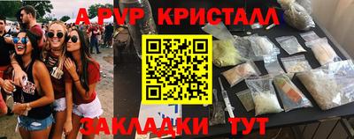 индика Кингисепп