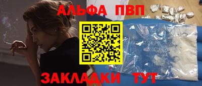 индика Кингисепп