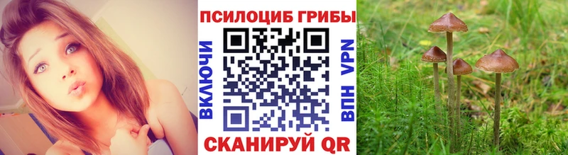 Псилоцибиновые грибы MAGIC MUSHROOMS  omg tor  Топки 