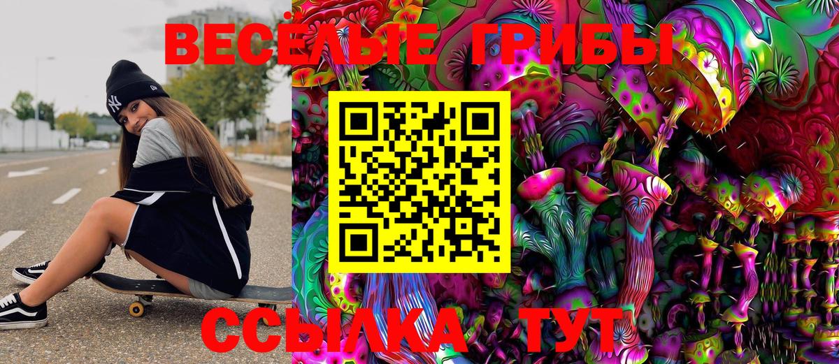 купить   Топки  Галлюциногенные грибы мицелий 