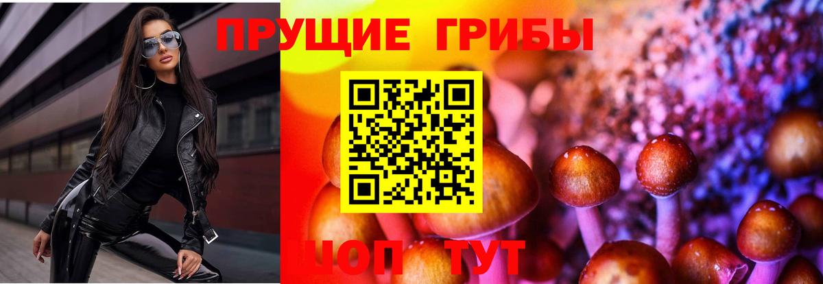 Псилоцибиновые грибы MAGIC MUSHROOMS  Вход с VPN  Топки 